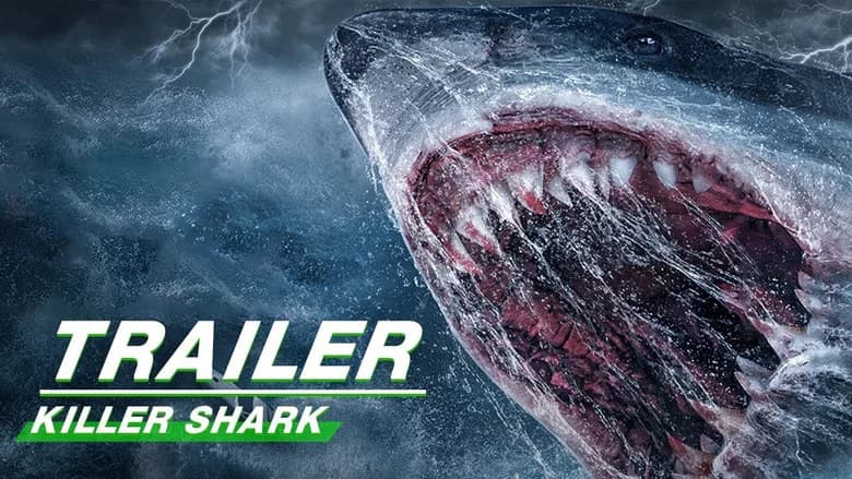 Killer Shark screenshot 2