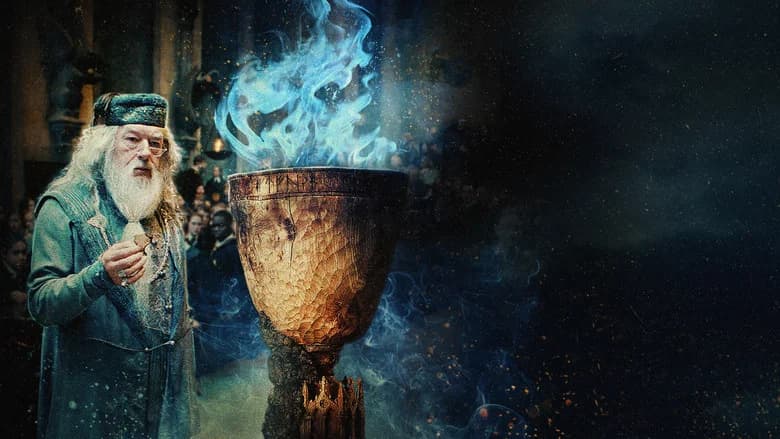 Harry Potter and the Goblet of Fire screenshot 1