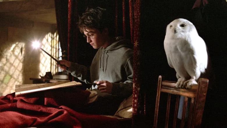 Harry Potter and the Prisoner of Azkaban screenshot 2
