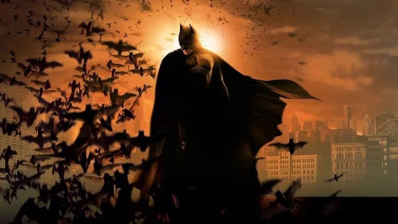 Batman Begins screenshot 3