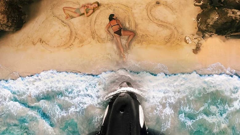 Killer Whale screenshot 2
