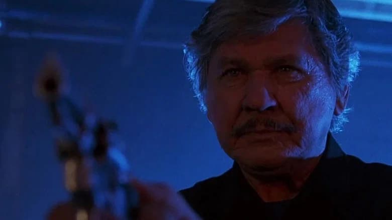 Death Wish V: The Face of Death screenshot 2